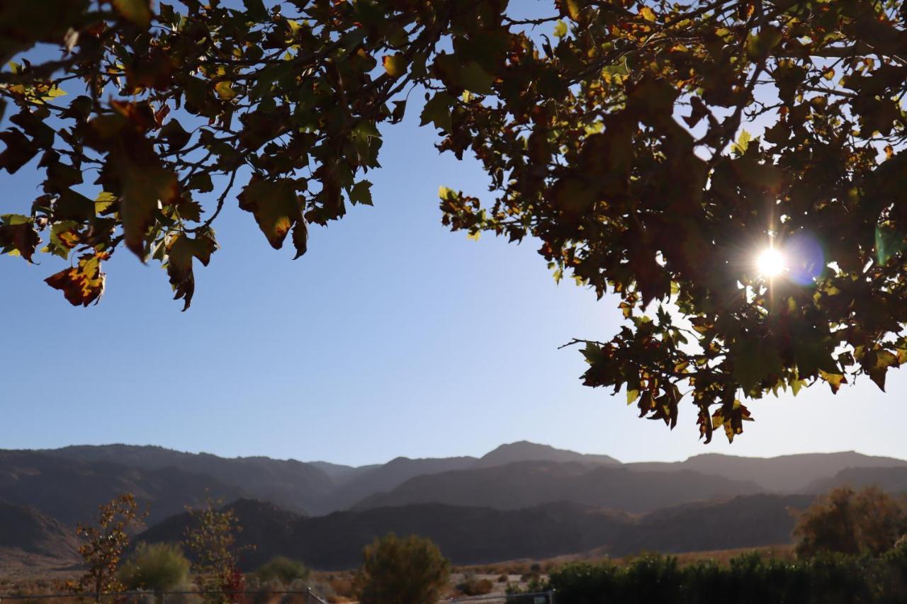 Oasis And 29 Palms Joshua Tree National Park 3*