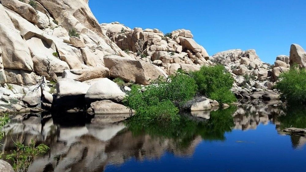 Oasis And 29 Palms Joshua Tree National Park Hotel 3*